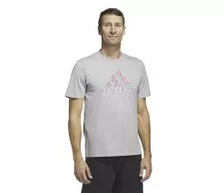 Adidas Americana Graphic Tee (M) (Grey)