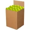 Franklin X-40 Outdoor Optic Pickleball Box Of 100